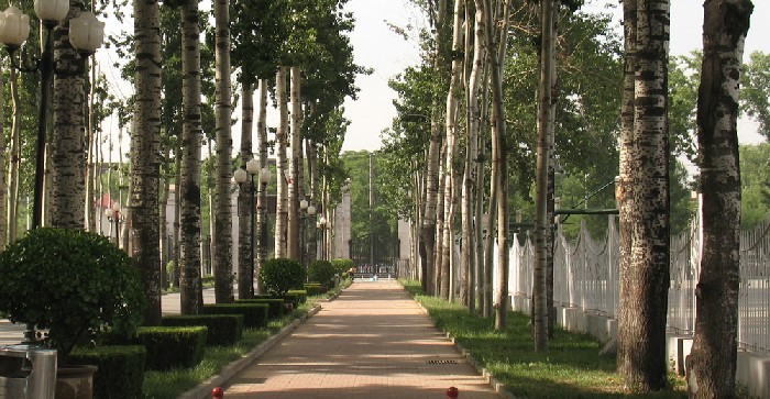 校園風景